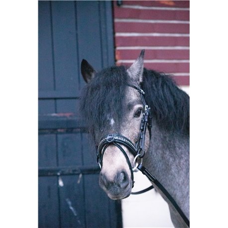 Bridon PENELOPE "Eden"