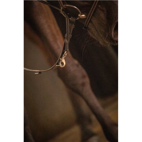 R?nes PENELOPE Howlett cuir