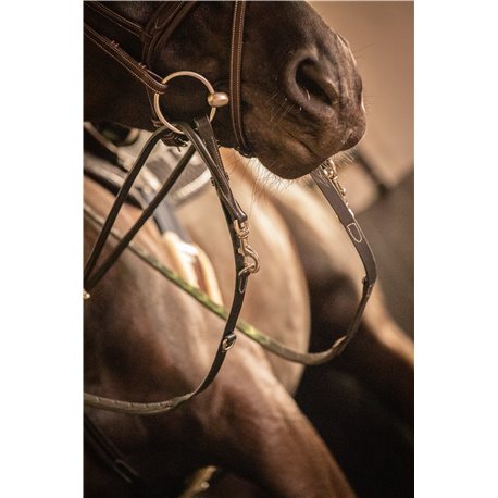 R?nes PENELOPE Howlett cuir