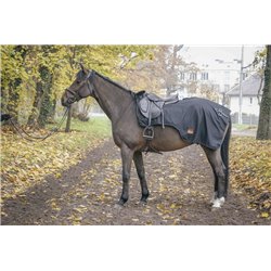 PADDOCK Nierendecke 2