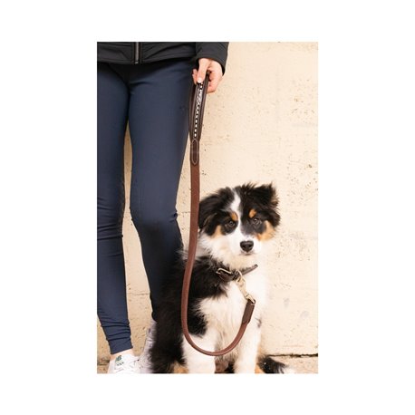 Rubber Hundeleine Penelope