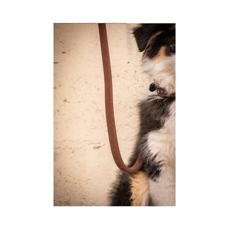 Rubber Hundeleine Penelope