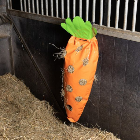 Heutasche Carrot