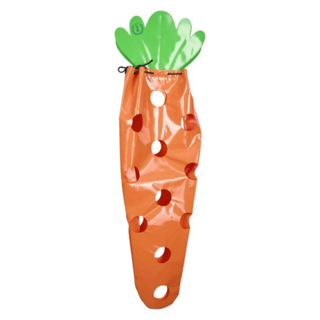 Heutasche Carrot