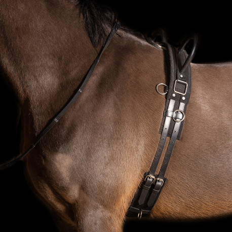 SURFAIX AVEC 2 POIGNEES Vito