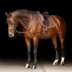 Ausbinder Leder mit Elastik 2