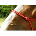 Ethologisches Strickhalfter "Fin"