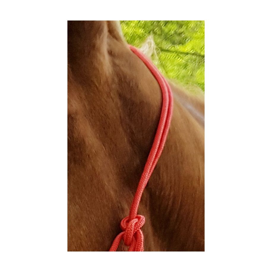 Ethologisches Strickhalfter "Fin"