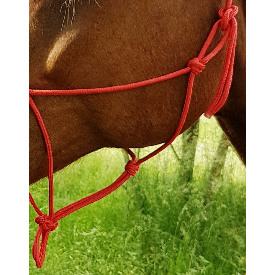 Ethologisches Strickhalfter "Fin"