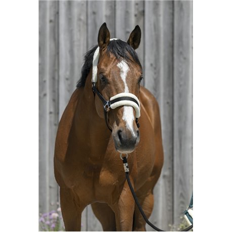 RIDING WORLD Halfter aus synthetischem Schaffell