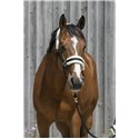 RIDING WORLD Halfter aus synthetischem Schaffell