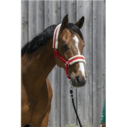 Licol RIDING WORLD mouton synthétique 2