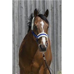 RIDING WORLD Halfter aus synthetischem Schaffell 2