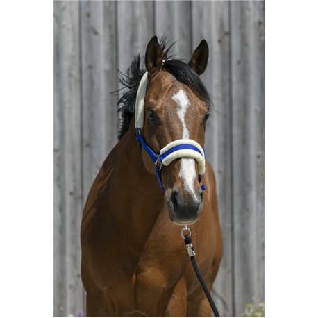 RIDING WORLD Halfter aus synthetischem Schaffell