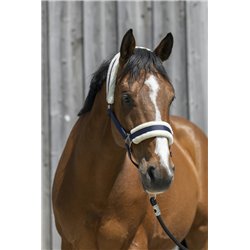 Licol RIDING WORLD mouton synthétique 2