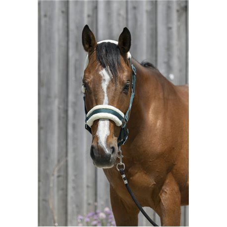 RIDING WORLD Halfter aus synthetischem Schaffell
