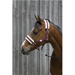 Licol RIDING WORLD mouton synthétique 2