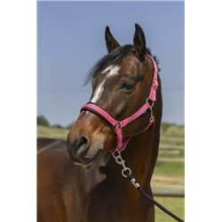 NORTON ?4lines" Halfter 2