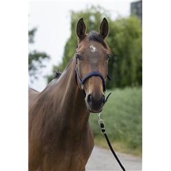 NORTON ?Satine" Halfter 2