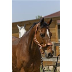 NORTON „Satine" Halfter 2