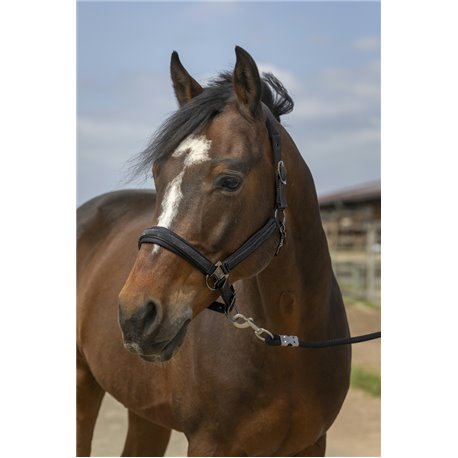 EQUITHÈME „Nylon Strass" Halfter