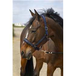 Licol EQUITHÈME "Nylon Strass" 2