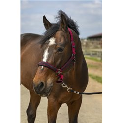 EQUITHÈME „Nylon Strass" Halfter 2
