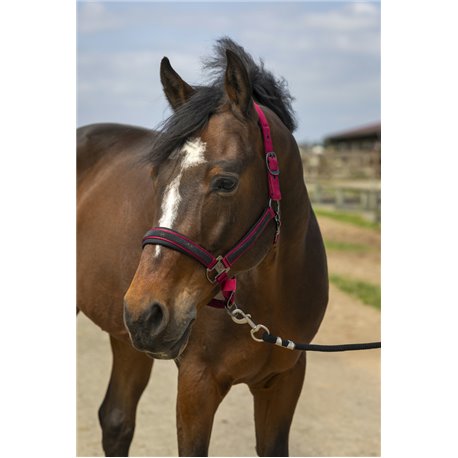 EQUITHÈME „Nylon Strass" Halfter