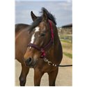 EQUITHÈME „Nylon Strass" Halfter