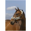 EQUITHÈME „Nylon Mouton" Halfter