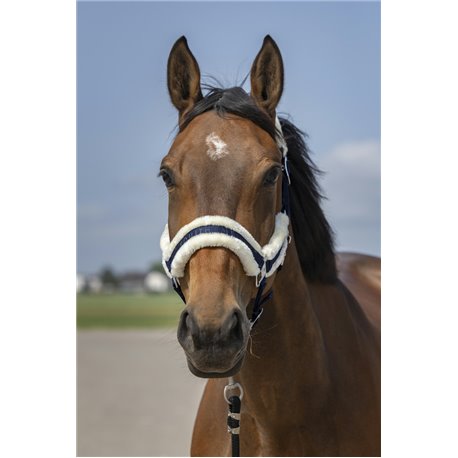 EQUITHÈME „Nylon Mouton" Halfter