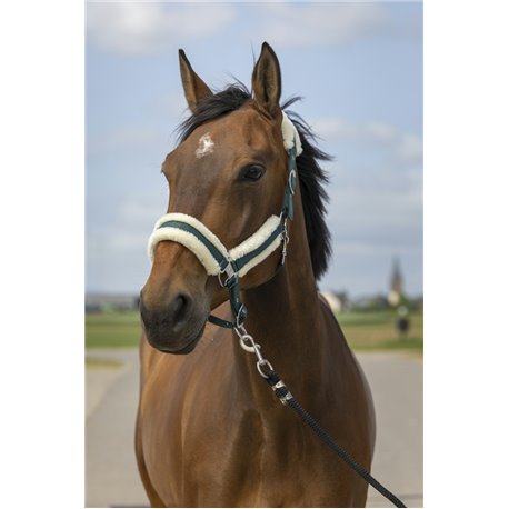EQUITHÈME „Nylon Mouton" Halfter