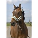 EQUITHÈME „Nylon Mouton" Halfter