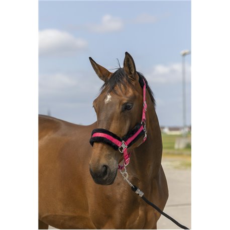 EQUITHÈME „Nylon Mouton" Halfter