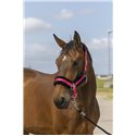 EQUITHÈME „Nylon Mouton" Halfter