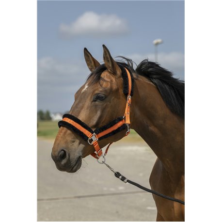 EQUITHÈME „Nylon Mouton" Halfter
