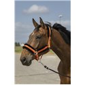 EQUITHÈME „Nylon Mouton" Halfter