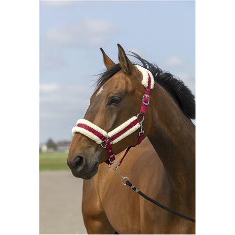 EQUITHÈME „Nylon Mouton" Halfter