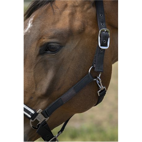 EQUITHÈME „Nylon Chevron" Halfter