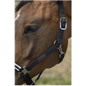 EQUITHÈME „Nylon Chevron" Halfter