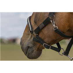 EQUITH?ME ?Nylon Chevron" Halfter 2
