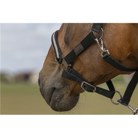 EQUITHÈME „Nylon Chevron" Halfter