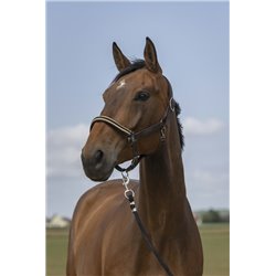 Licol EQUITHÈME "Nylon Chevron" 2