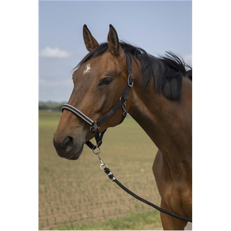 EQUITHÈME „Nylon Chevron" Halfter
