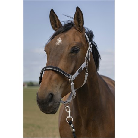 Licol EQUITHÈME "Nylon Chevron"