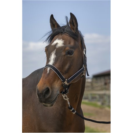 EQUITHÈME „Nylon light" Halfter