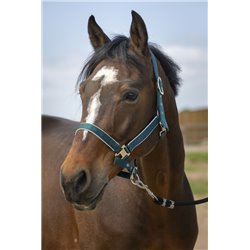 EQUITHÈME „Nylon light" Halfter 2