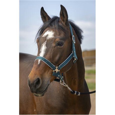EQUITHÈME „Nylon light" Halfter
