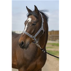 Licol EQUITHÈME "Nylon light" 2