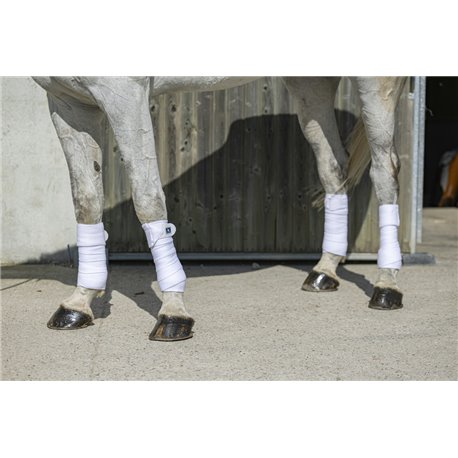 Bandes de polo RIDING WORLD "Eco"